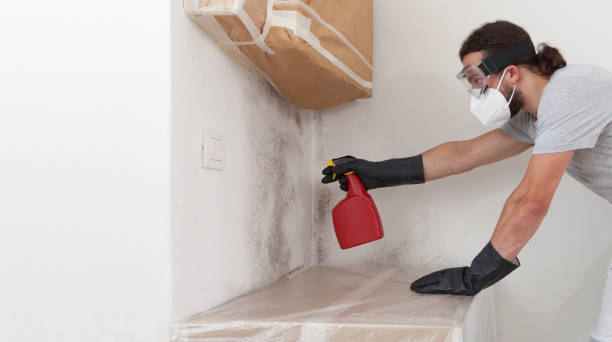 Professional Commercial Mold Remediation technician working in Huntington Station, NY